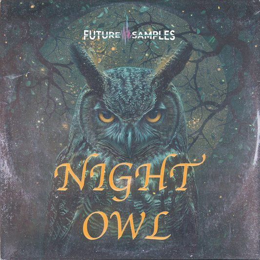 NIGHT OWL - R&B Melodies - Future Samples