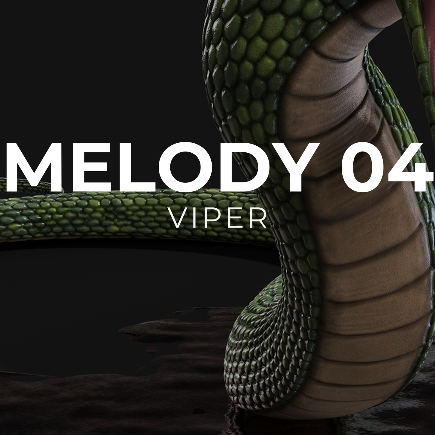 VIPER - Melody 04