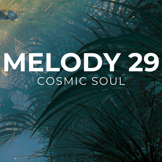 COSMIC SOUL - Melody 29