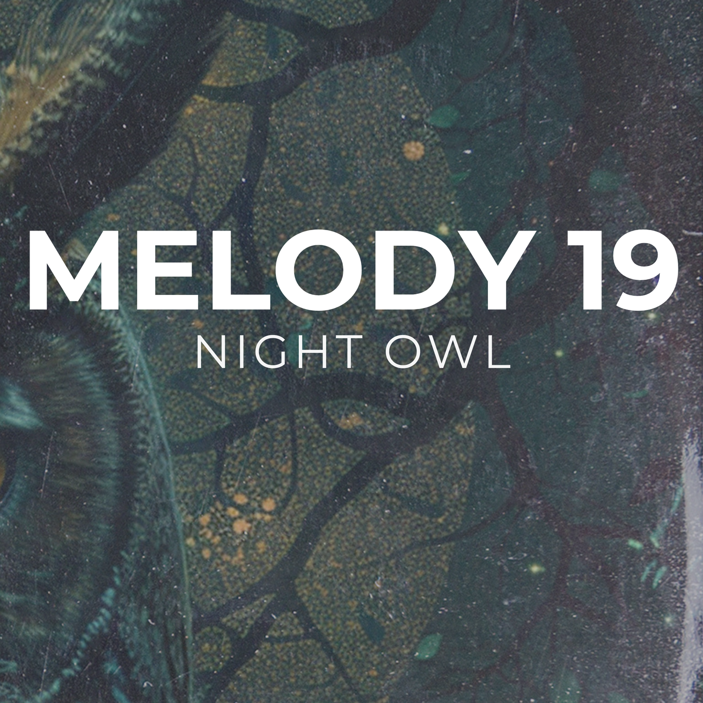NIGHT OWL - Melody 19