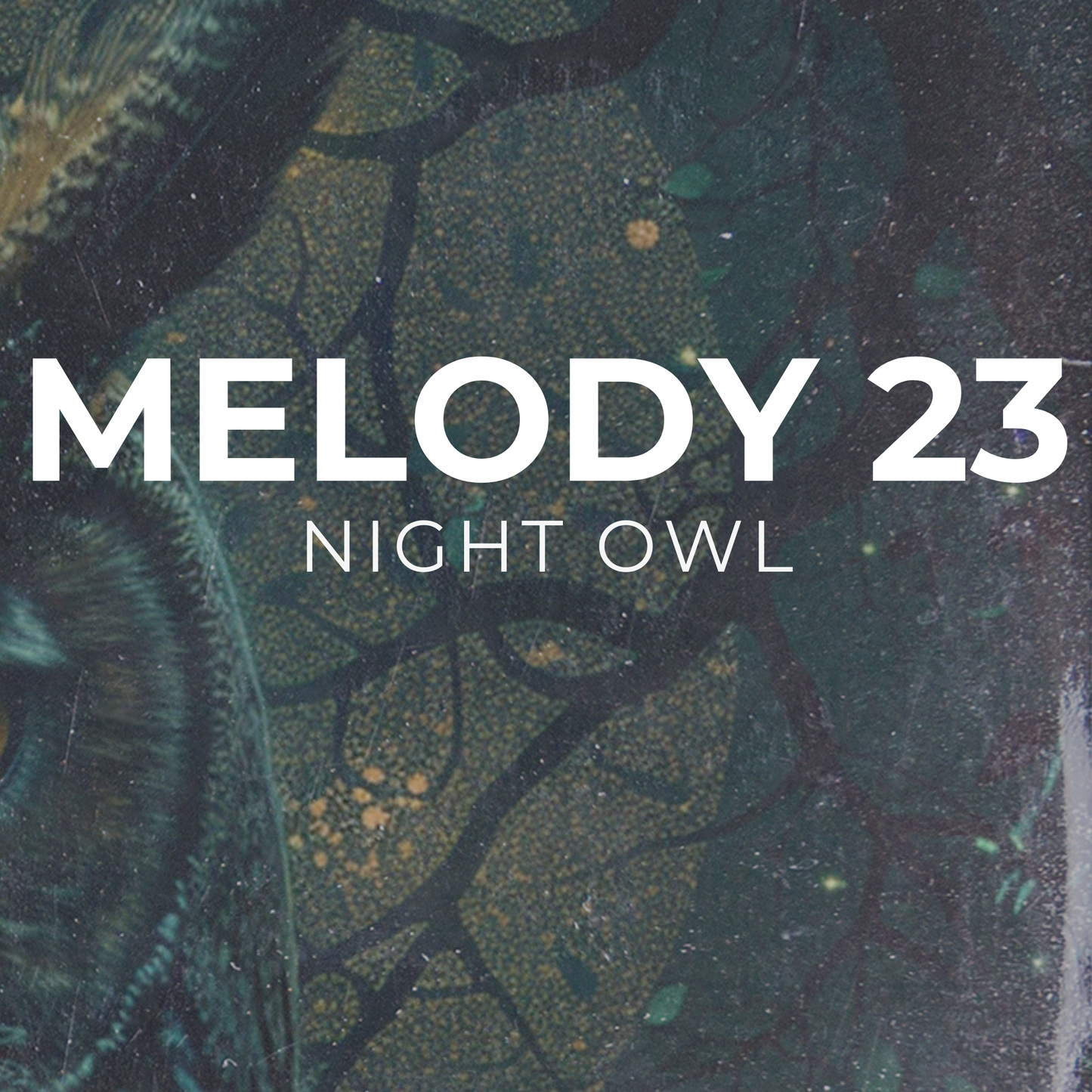 NIGHT OWL - Melody 23