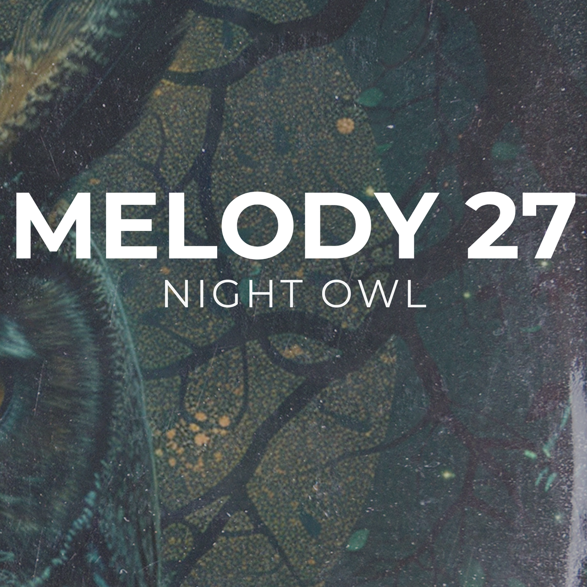 NIGHT OWL - Melody 27