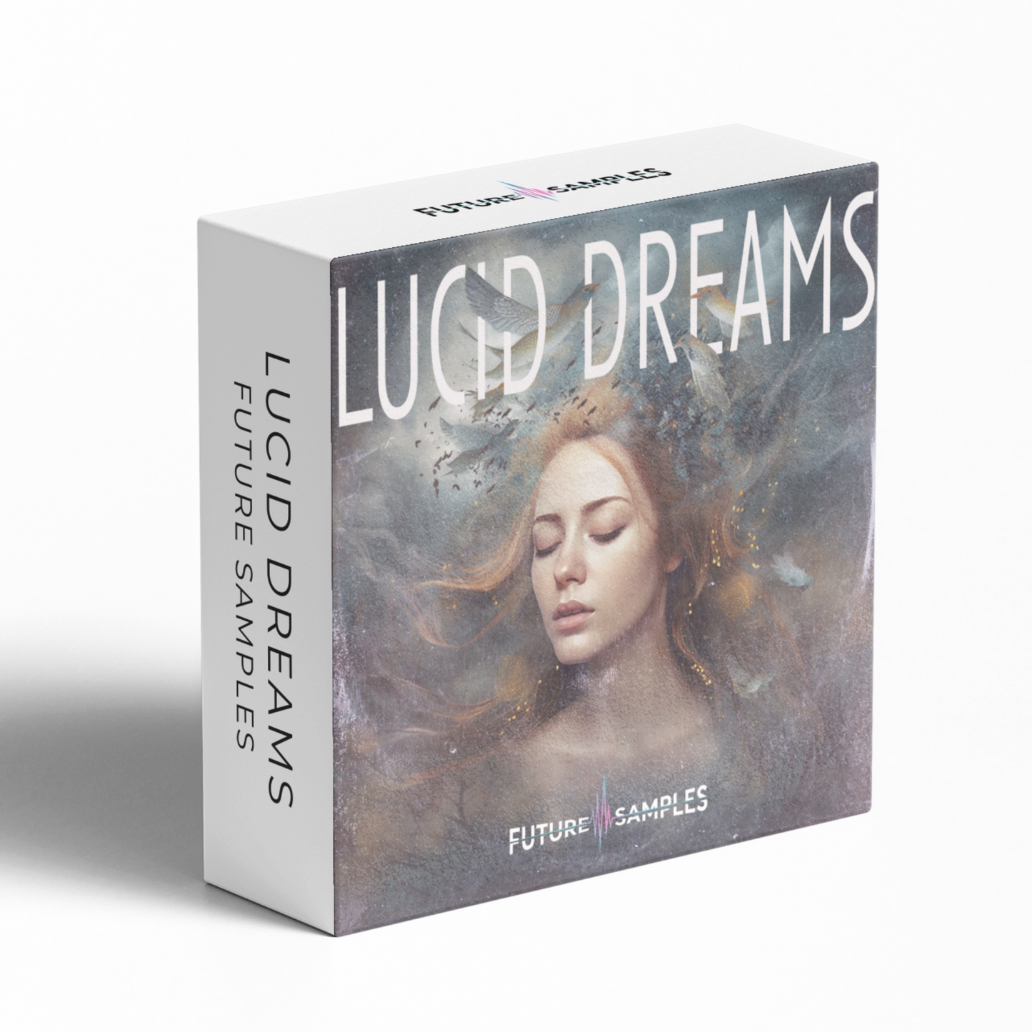 LUCID DREAMS
