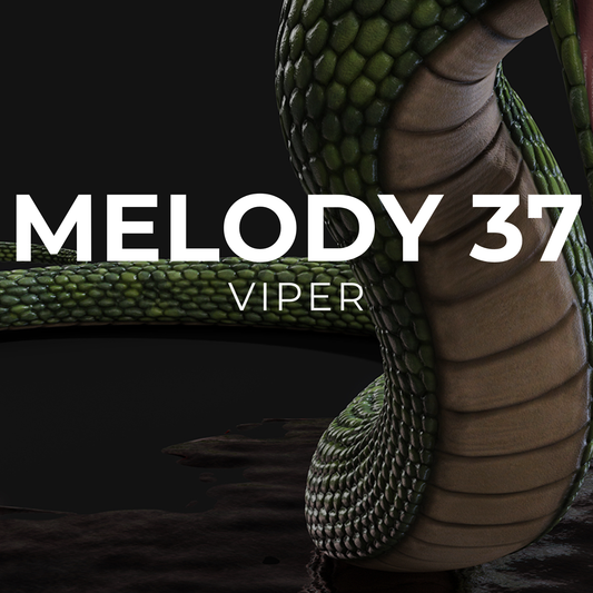 VIPER - Melody 37
